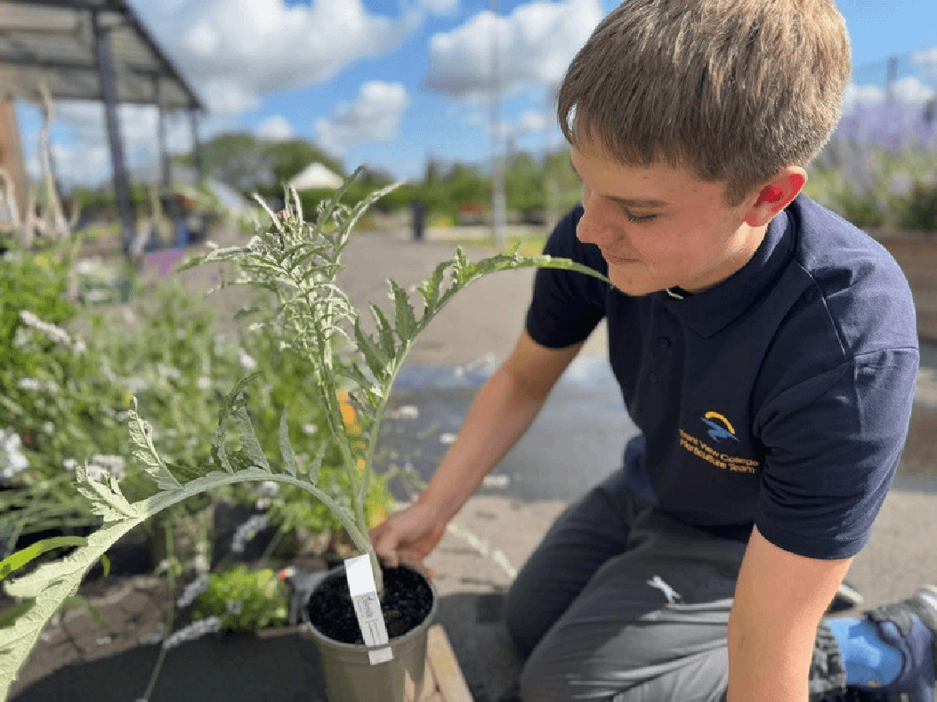 A student tending plants