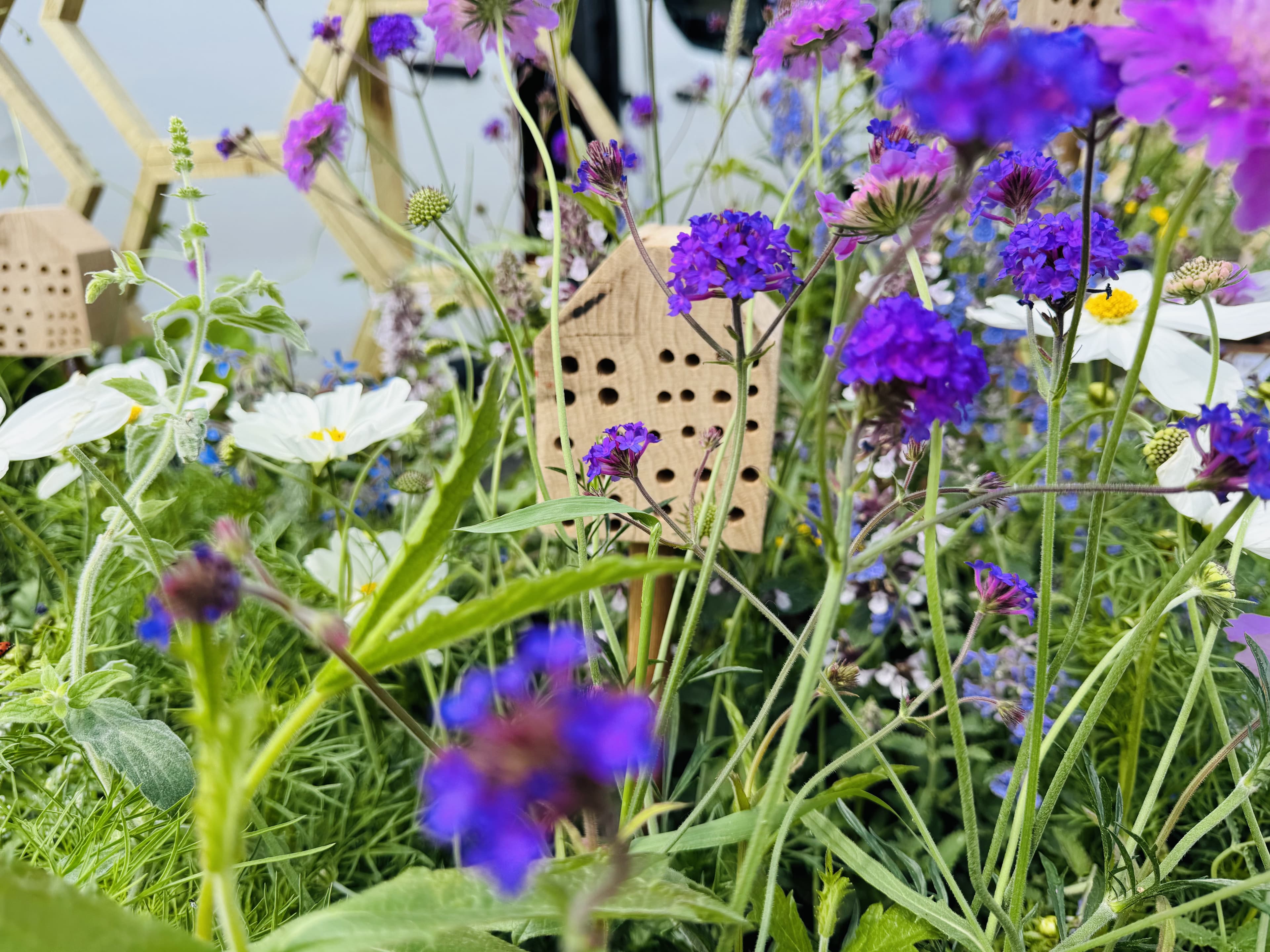 Buzzing with life